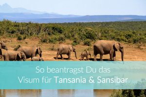 Visum Tansania und Sansibar online beantragen