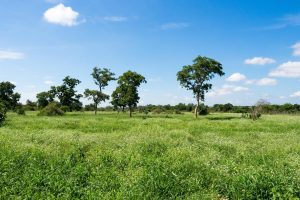Namibia entdecken