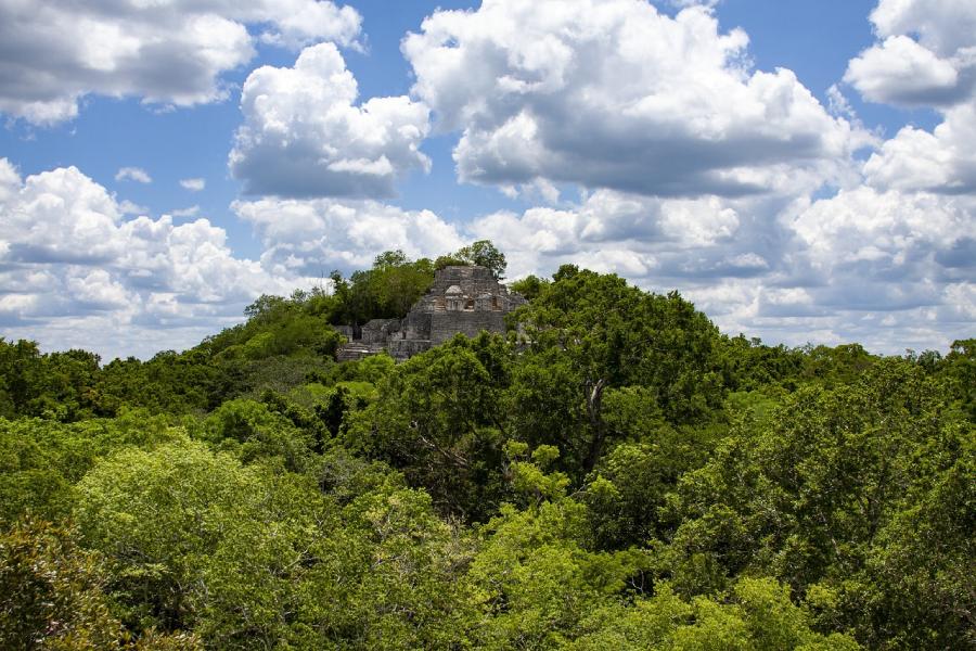 Calakmul – Verlorenes Königreich im Regenwald