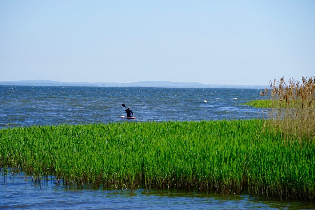 Das Stettiner Haff: Ein wunderschönes Naturparadies an der Ostseeküste