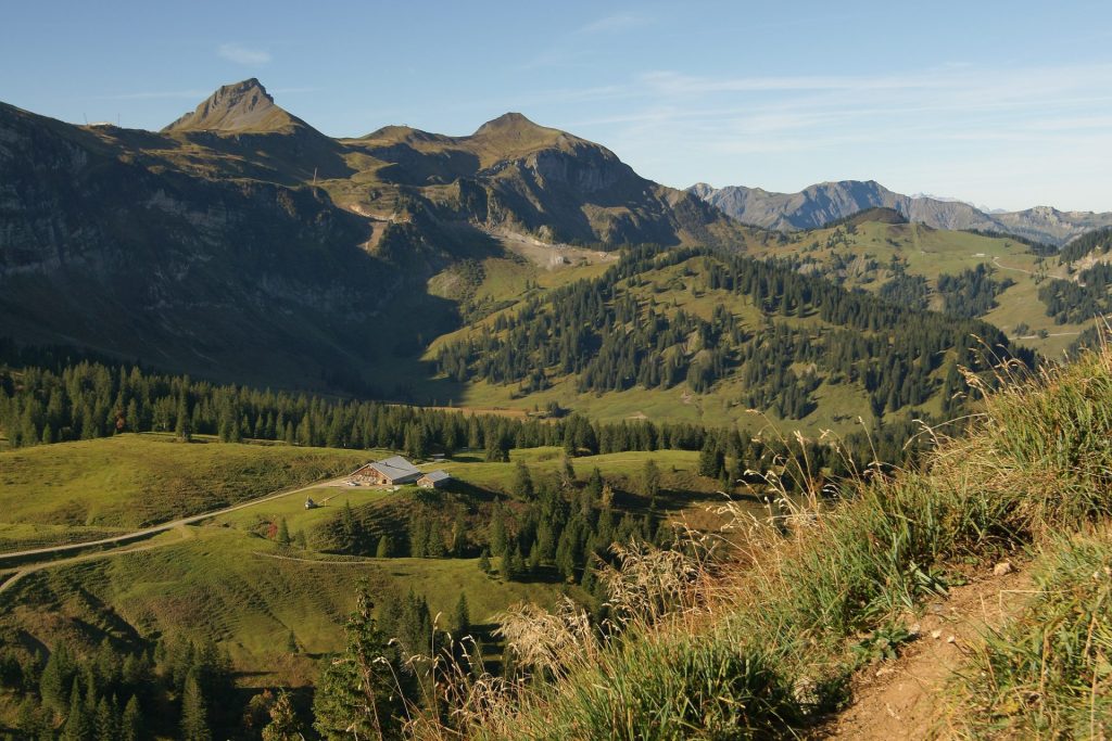 Mittagspitze Damüls