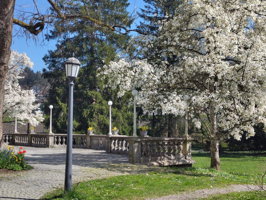 Entdecke Vorarlberg: Das verborgene Juwel Österreichs