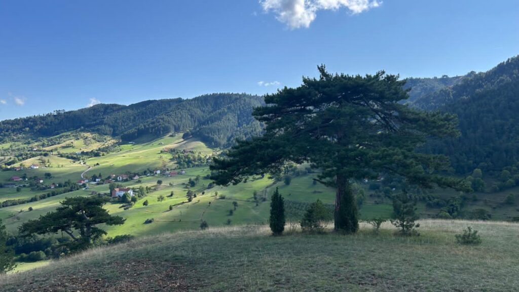 Wunderschöner Ort hinter Zlatibor / Tornik